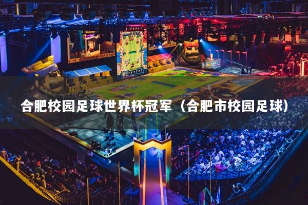 合肥校園足球世界杯冠軍（合肥市校園足球）