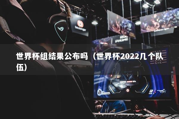 世界杯組結(jié)果公布嗎（世界杯2022幾個(gè)隊(duì)伍）