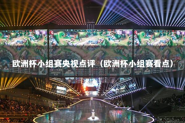 歐洲杯小組賽央視點評（歐洲杯小組賽看點）