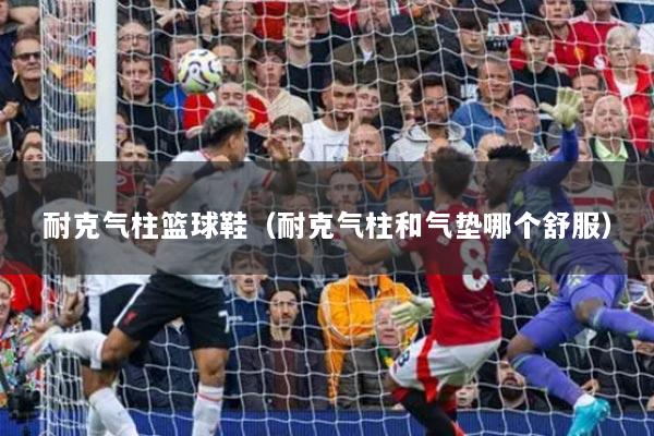 耐克氣柱籃球鞋（耐克氣柱和氣墊哪個(gè)舒服）