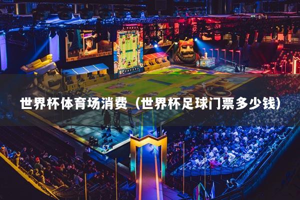 世界杯體育場消費（世界杯足球門票多少錢）
