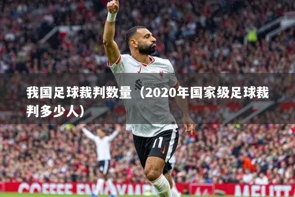 我國足球裁判數(shù)量（2020年國家級足球裁判多少人）