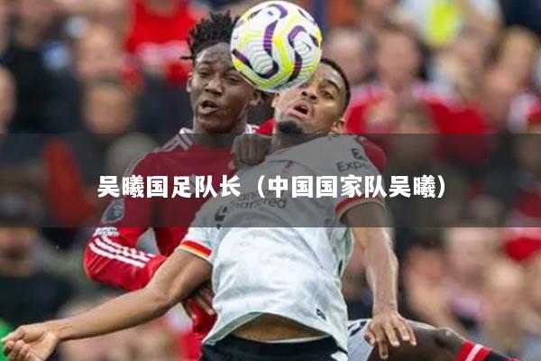 吳曦國(guó)足隊(duì)長(zhǎng)（中國(guó)國(guó)家隊(duì)吳曦）