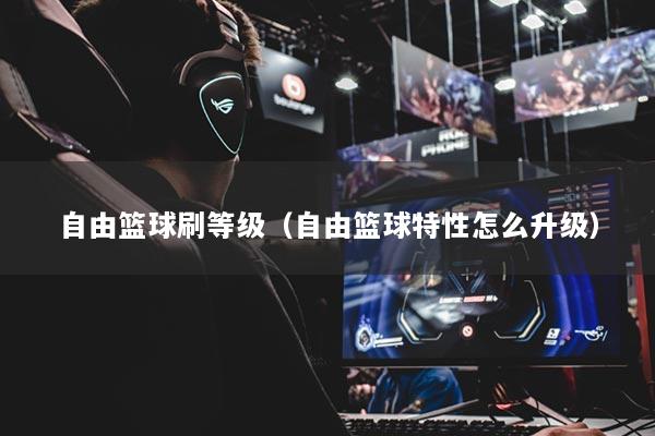 自由籃球刷等級（自由籃球特性怎么升級）