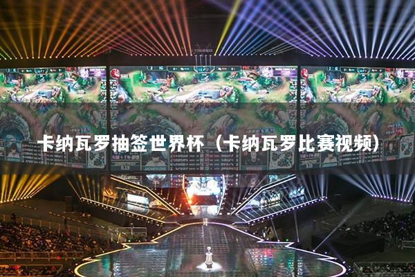 卡納瓦羅抽簽世界杯（卡納瓦羅比賽視頻）