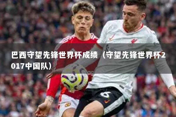 巴西守望先鋒世界杯成績(jī)（守望先鋒世界杯2017中國(guó)隊(duì)）