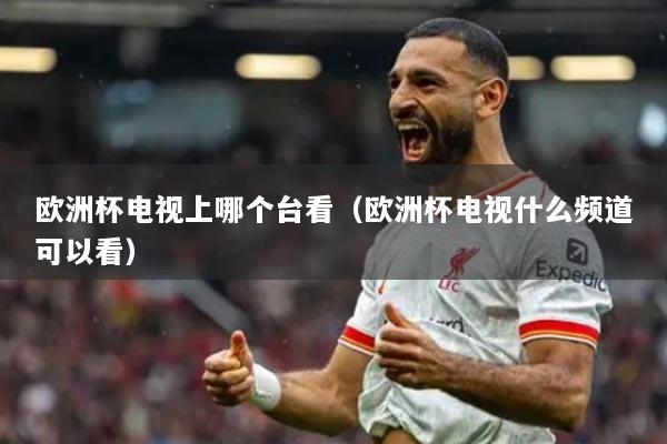 歐洲杯電視上哪個(gè)臺(tái)看（歐洲杯電視什么頻道可以看）