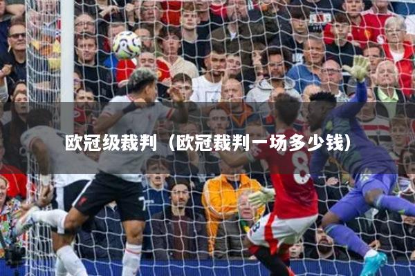 歐冠級裁判（歐冠裁判一場多少錢）