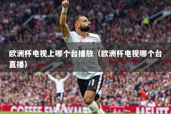 歐洲杯電視上哪個(gè)臺播放（歐洲杯電視哪個(gè)臺直播）