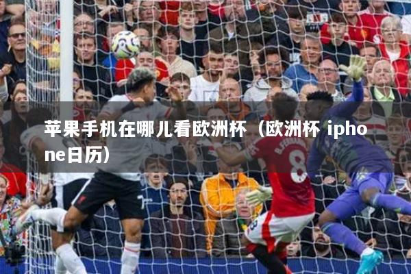 蘋果手機在哪兒看歐洲杯（歐洲杯 iphone日歷）