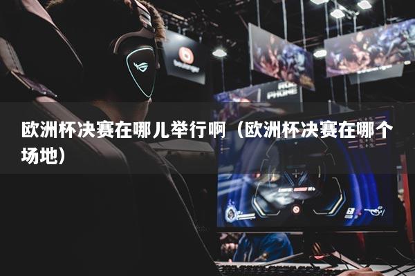 歐洲杯決賽在哪兒舉行啊（歐洲杯決賽在哪個(gè)場(chǎng)地）