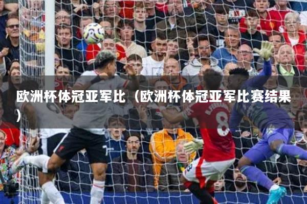 歐洲杯體冠亞軍比（歐洲杯體冠亞軍比賽結(jié)果）