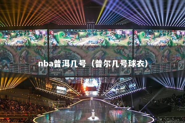 nba普洱幾號（普爾幾號球衣）