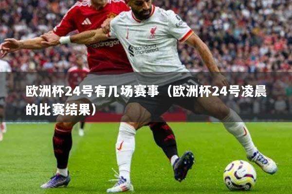 歐洲杯24號有幾場賽事（歐洲杯24號凌晨的比賽結(jié)果）