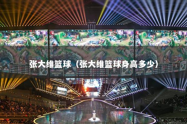 張大維籃球（張大維籃球身高多少）