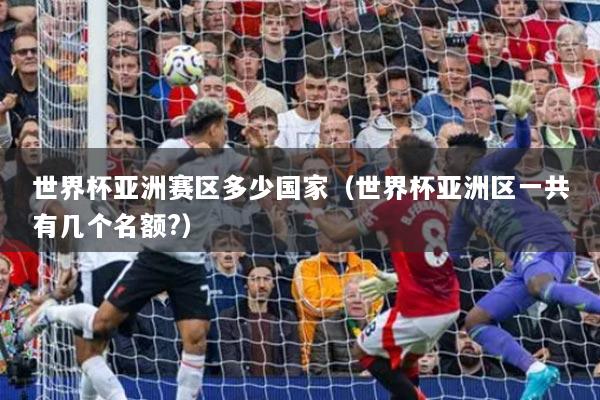 世界杯亞洲賽區(qū)多少國家（世界杯亞洲區(qū)一共有幾個名額?）