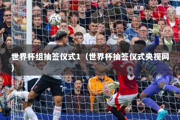 世界杯組抽簽儀式1（世界杯抽簽儀式央視網(wǎng)）