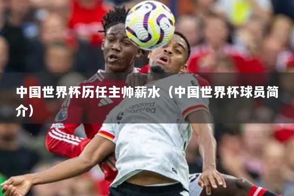 中國世界杯歷任主帥薪水（中國世界杯球員簡介）