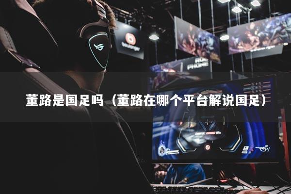 董路是國足嗎（董路在哪個(gè)平臺(tái)解說國足）