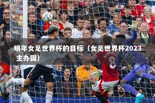 明年女足世界杯的目標(biāo)（女足世界杯2023 主辦國(guó)）