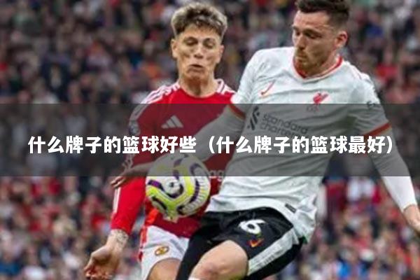 什么牌子的籃球好些（什么牌子的籃球最好）