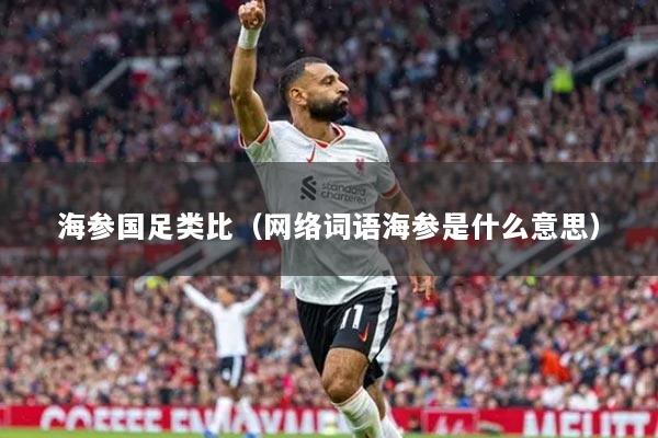 海參國足類比（網(wǎng)絡(luò)詞語海參是什么意思）
