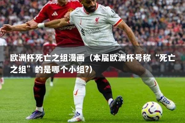 歐洲杯死亡之組漫畫（本屆歐洲杯號(hào)稱“死亡之組”的是哪個(gè)小組?）