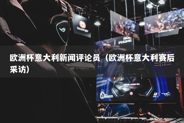 歐洲杯意大利新聞評論員（歐洲杯意大利賽后采訪）