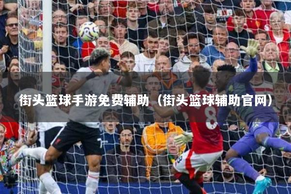 街頭籃球手游免費(fèi)輔助（街頭籃球輔助官網(wǎng)）