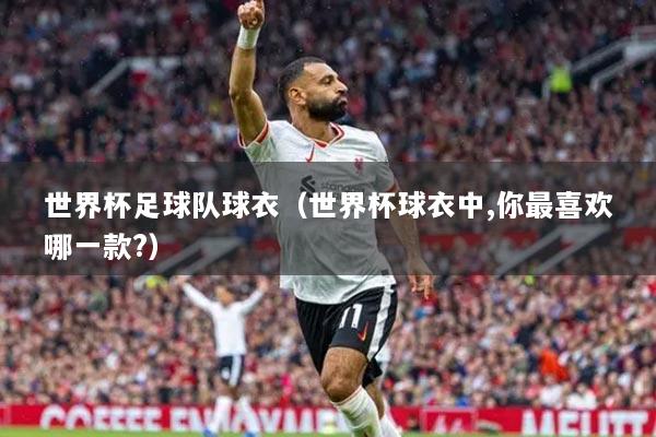 世界杯足球隊(duì)球衣（世界杯球衣中,你最喜歡哪一款?）