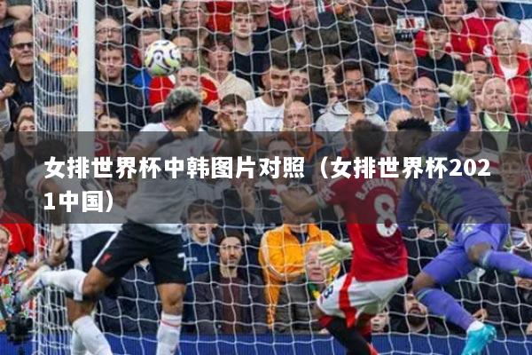 女排世界杯中韓圖片對(duì)照（女排世界杯2021中國(guó)）