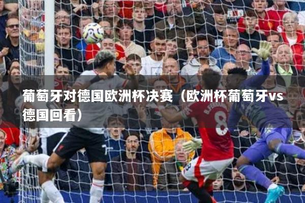 葡萄牙對德國歐洲杯決賽（歐洲杯葡萄牙vs德國回看）