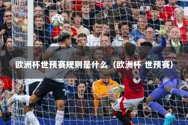 歐洲杯世預賽規(guī)則是什么（歐洲杯 世預賽）