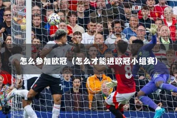 怎么參加歐冠（怎么才能進歐冠小組賽）