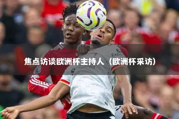 焦點(diǎn)訪談歐洲杯主持人（歐洲杯采訪）