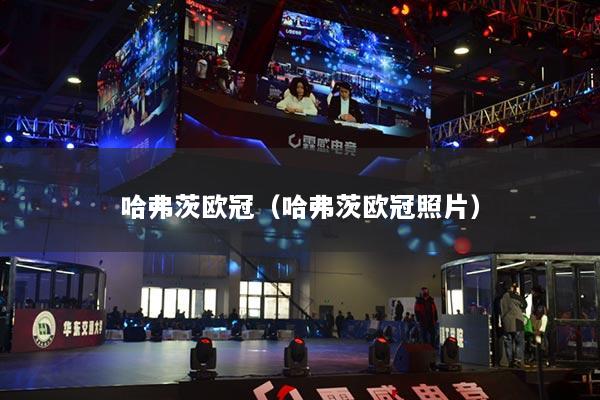 哈弗茨歐冠（哈弗茨歐冠照片）