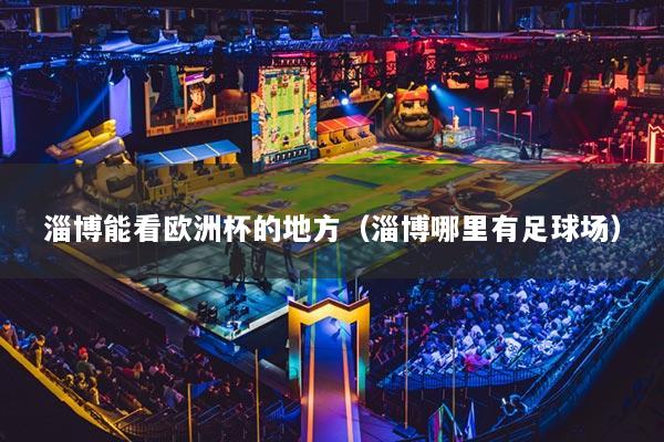 淄博能看歐洲杯的地方（淄博哪里有足球場）