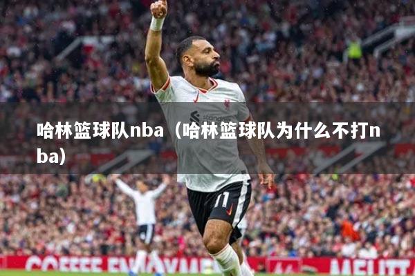 哈林籃球隊(duì)nba（哈林籃球隊(duì)為什么不打nba）