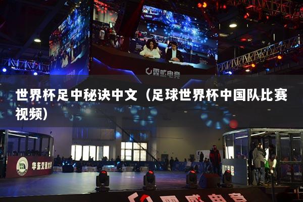 世界杯足中秘訣中文（足球世界杯中國隊比賽視頻）