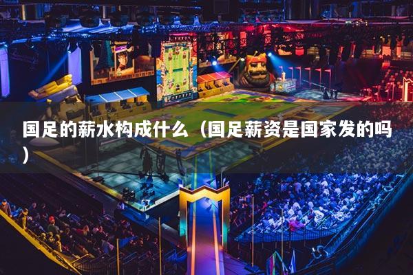 國(guó)足的薪水構(gòu)成什么（國(guó)足薪資是國(guó)家發(fā)的嗎）