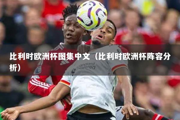 比利時(shí)歐洲杯圖集中文（比利時(shí)歐洲杯陣容分析）