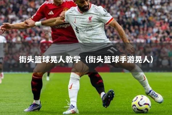 街頭籃球晃人教學(xué)（街頭籃球手游晃人）