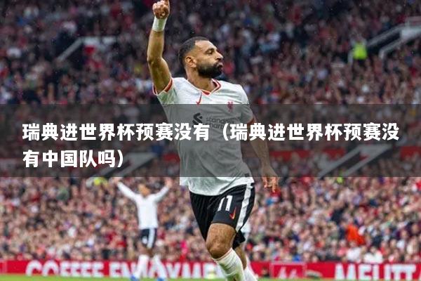 瑞典進(jìn)世界杯預(yù)賽沒有（瑞典進(jìn)世界杯預(yù)賽沒有中國隊嗎）