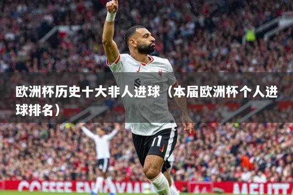 歐洲杯歷史十大非人進(jìn)球（本屆歐洲杯個(gè)人進(jìn)球排名）