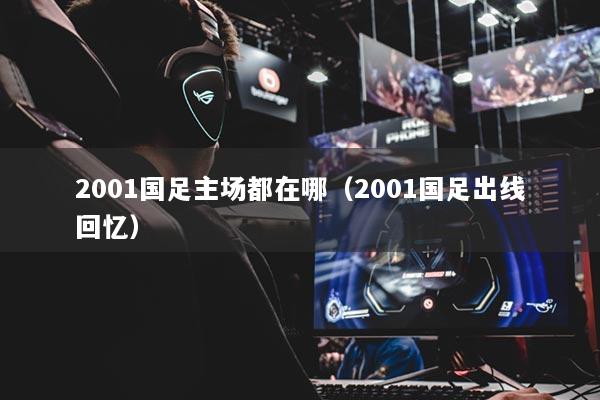 2001國足主場都在哪（2001國足出線回憶）