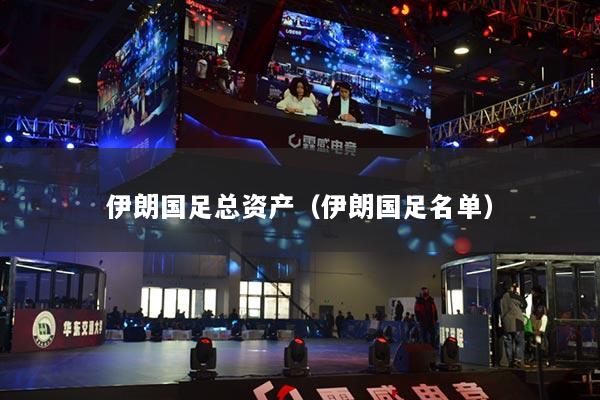 伊朗國(guó)足總資產(chǎn)（伊朗國(guó)足名單）