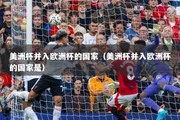美洲杯并入歐洲杯的國家（美洲杯并入歐洲杯的國家是）