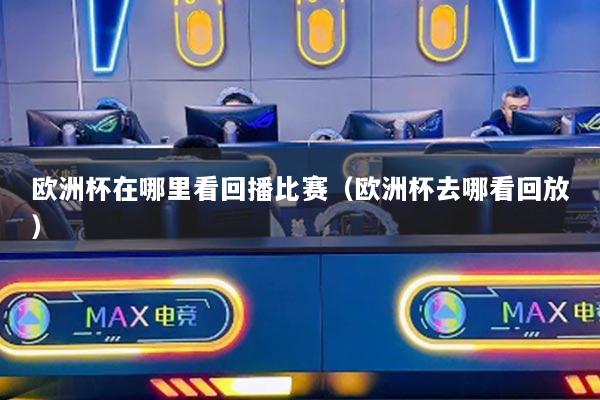 歐洲杯在哪里看回播比賽（歐洲杯去哪看回放）