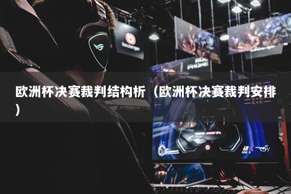 歐洲杯決賽裁判結(jié)構(gòu)析（歐洲杯決賽裁判安排）