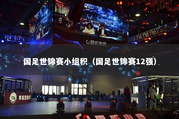 國(guó)足世錦賽小組積（國(guó)足世錦賽12強(qiáng)）
